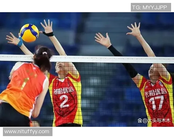 南京排球队以86分稳居联赛积分榜首位展现强劲实力