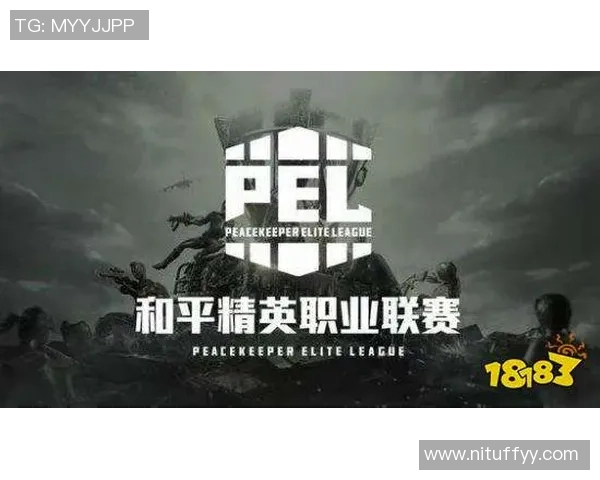 和平精英战术解析:RNG区域防守体系的优势与实施策略探讨 和平精英战术解析:RNG区域防守体系的优势与实施策略探讨